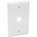 Nextgen TP60W Thermoplastic Telephone Or Cable Outlet Wall Plate; White NE698600